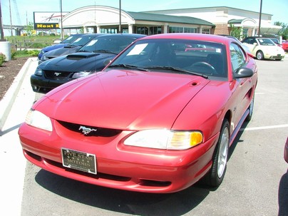 1998 ford mustang. 1998 Ford MUSTANG